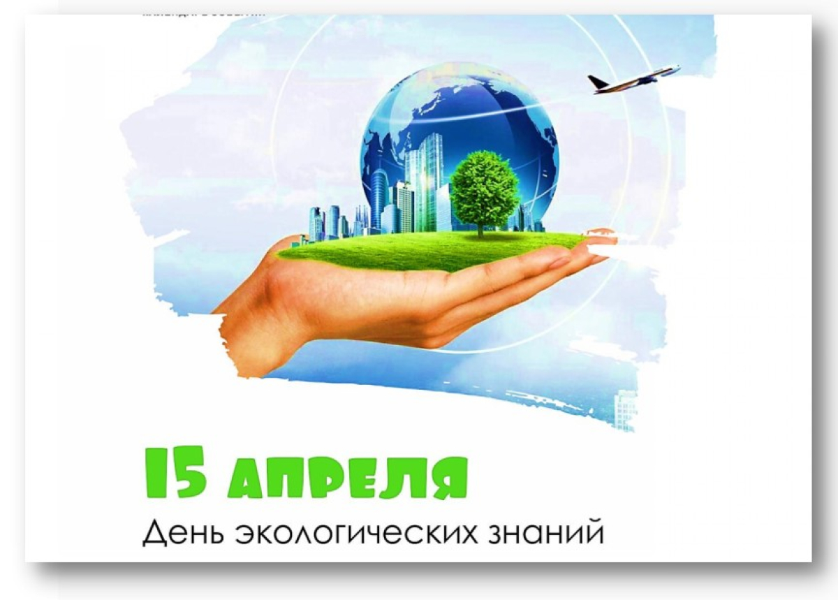 День экологических знаний 2024