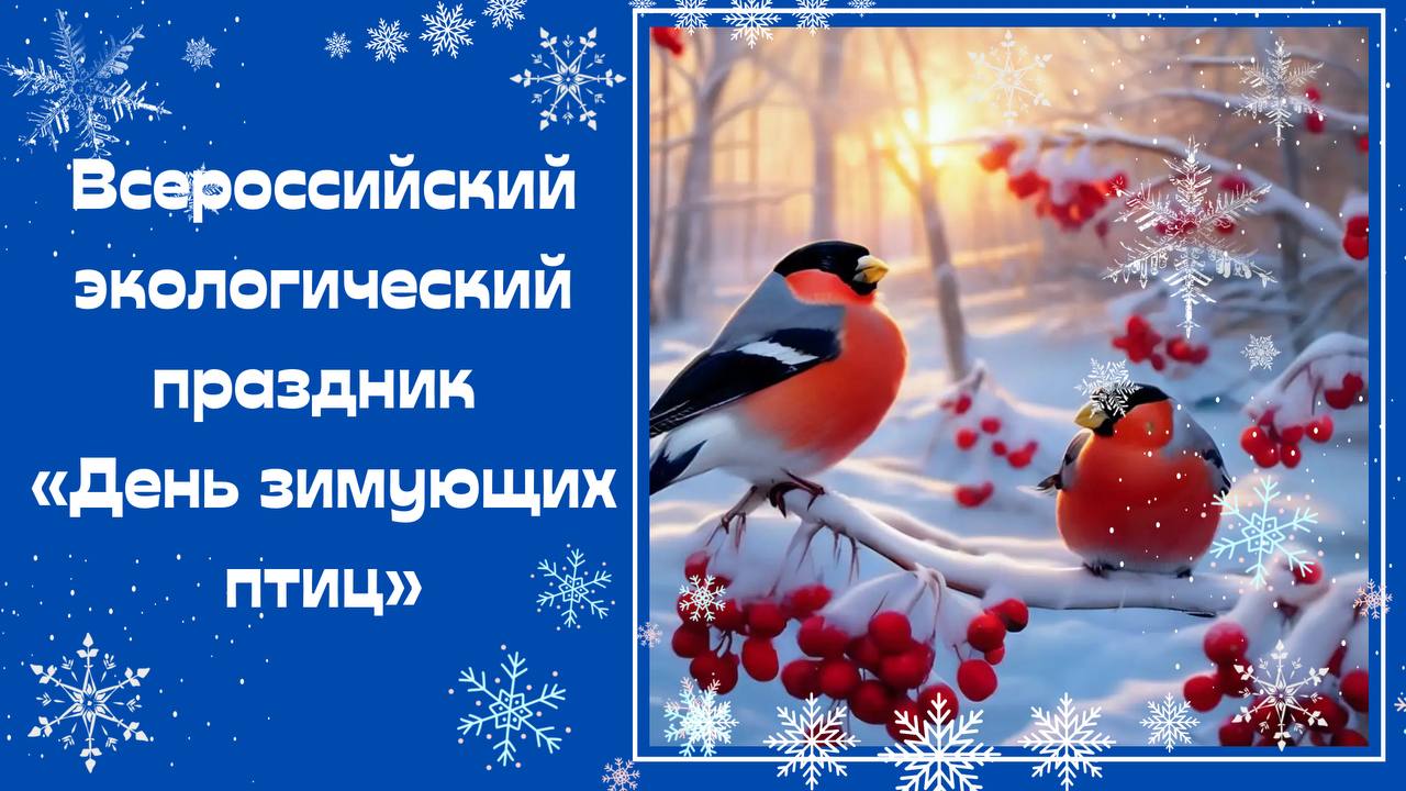 День зимующих птиц России
