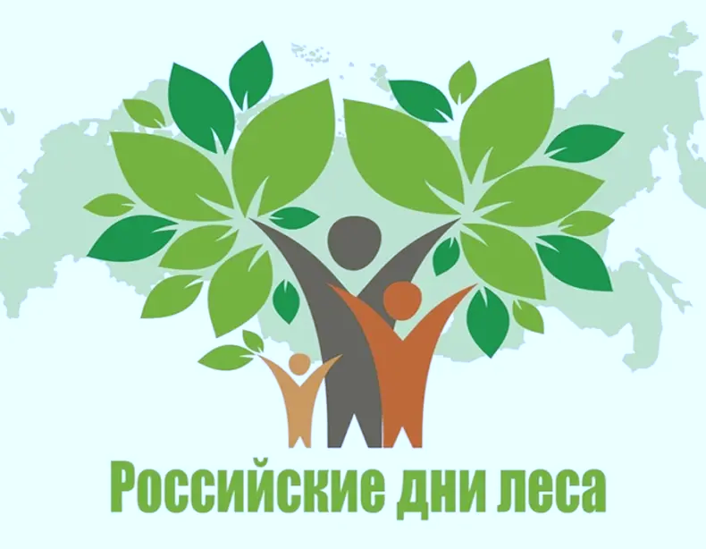 С 15 по 17 сентября – Российские дни леса