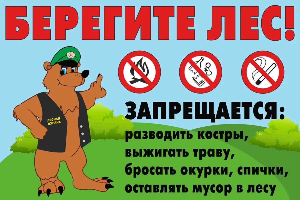 С 15 по 17 сентября – Российские дни леса